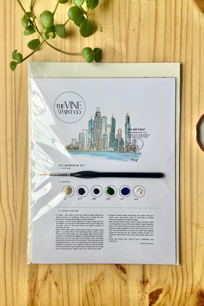 Chicago Skyline DIY Kit