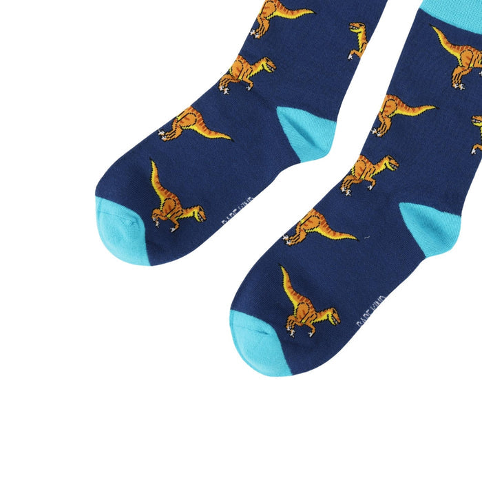 Blue socks with dinosaur pattern on a white background