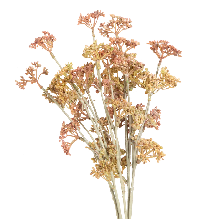 Meadow Sedge Stem