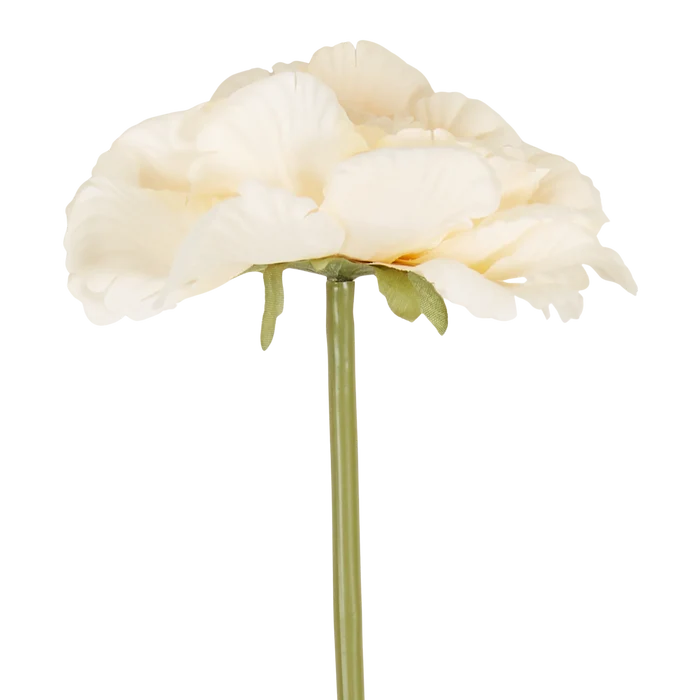 Peony Garden Stem