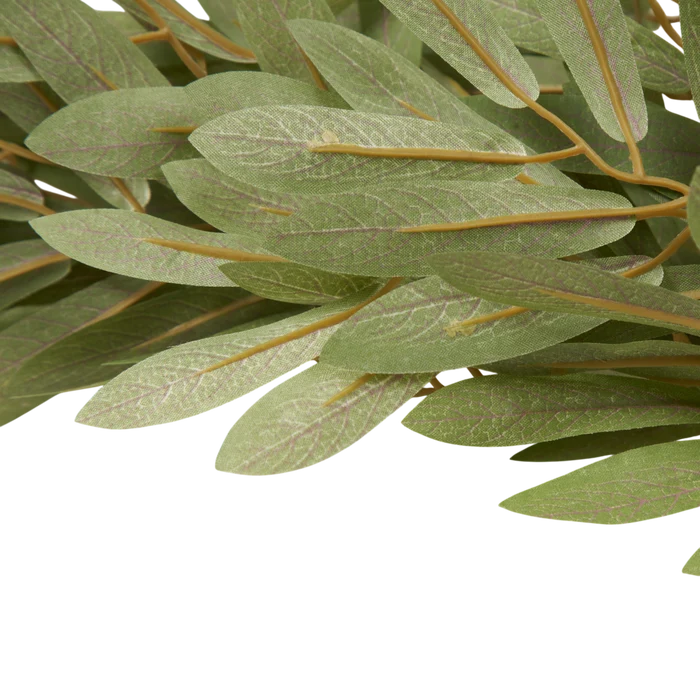 Soft Willow Stem