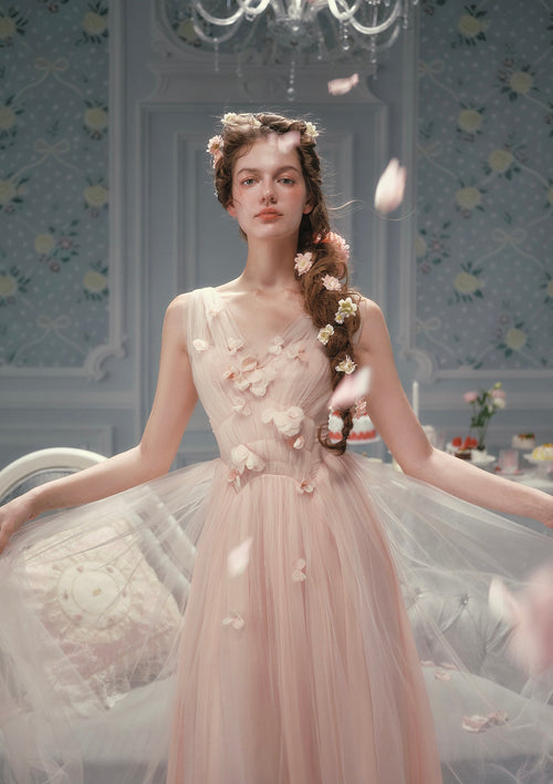 Louis XIV's Rose Dress