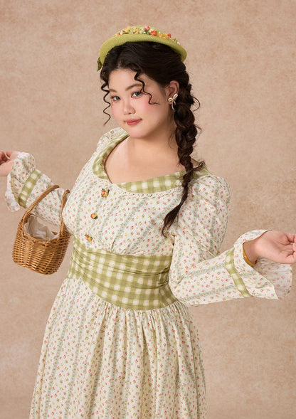 Curve & Plus Windsor Gardens Dress