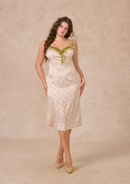 Curve&Plus Enchanted Forest Dress