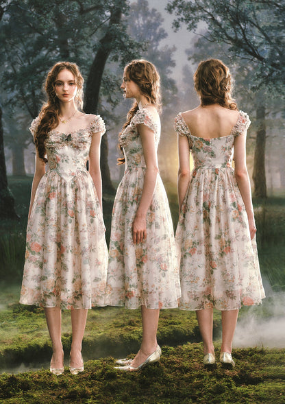 Butterfly Chronicle Corset Dress