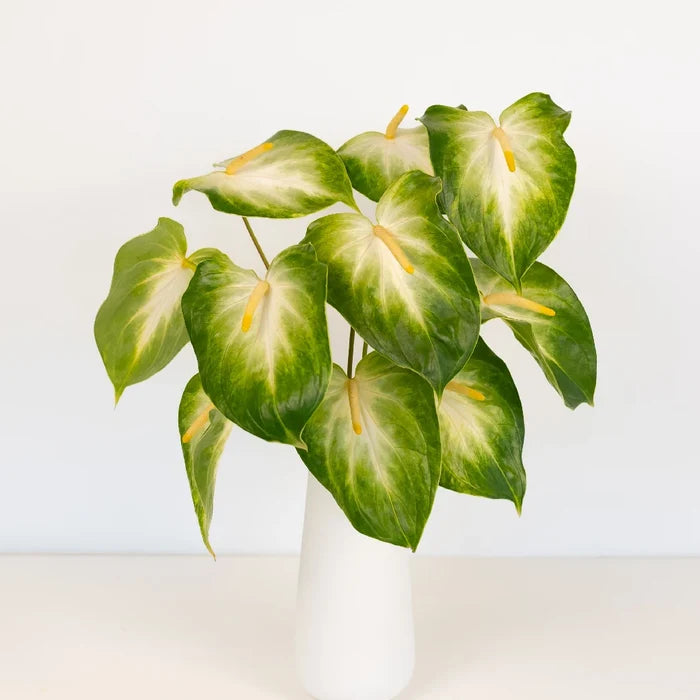Anthurium Key Lime Tropical Flower Vase - Image