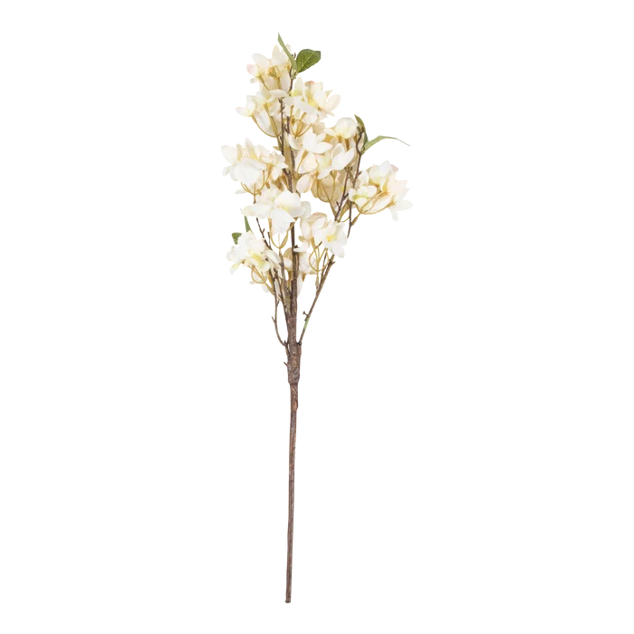 Apricot Blossom Stem