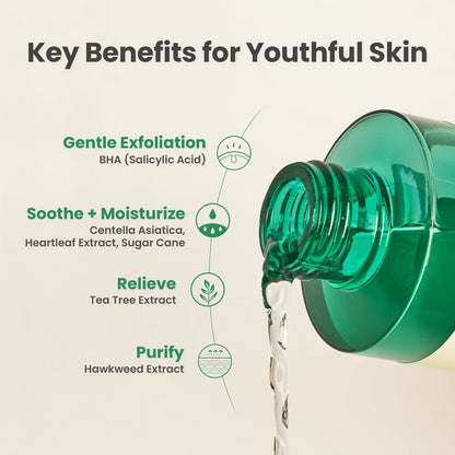 AXIS-Y Daily Purifying Treatment Toner 200ml key benefits