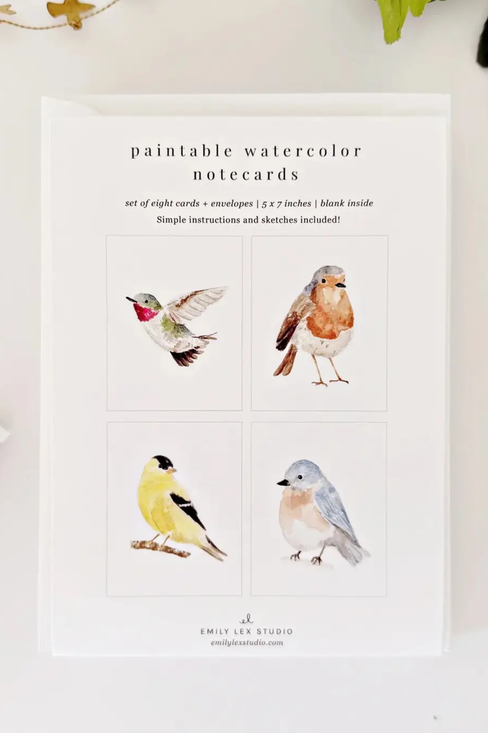 Backyard Birds Paintable Notecards