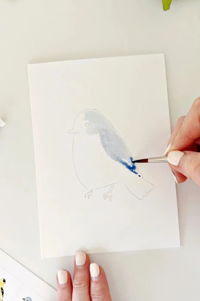 Backyard Birds Paintable Notecards
