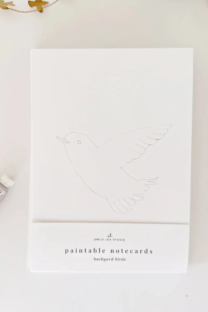 Backyard Birds Paintable Notecards