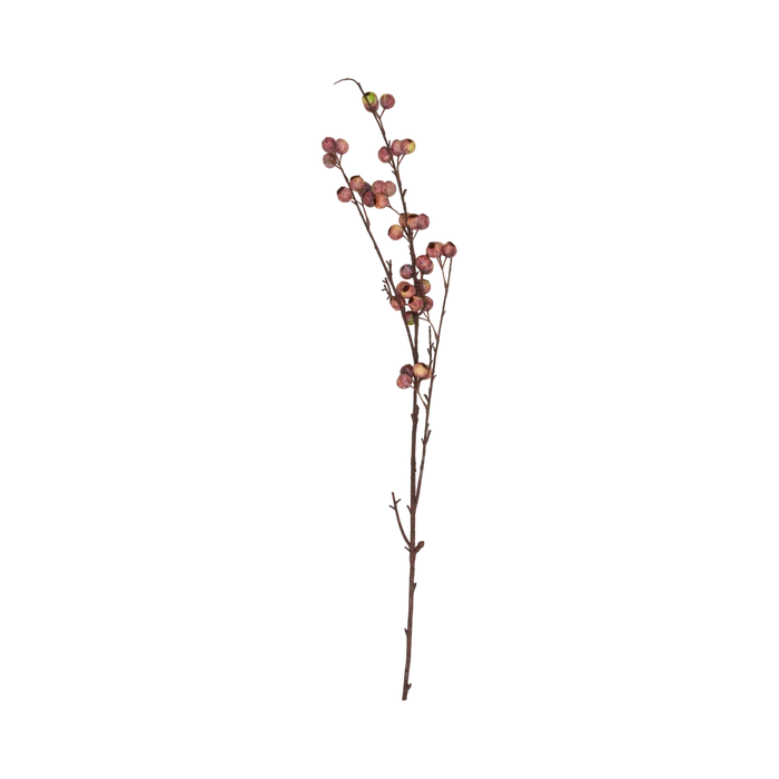 Berry Hawthorn