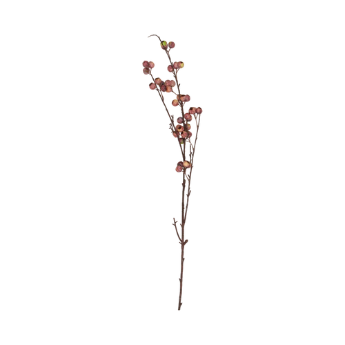 Berry Hawthorn