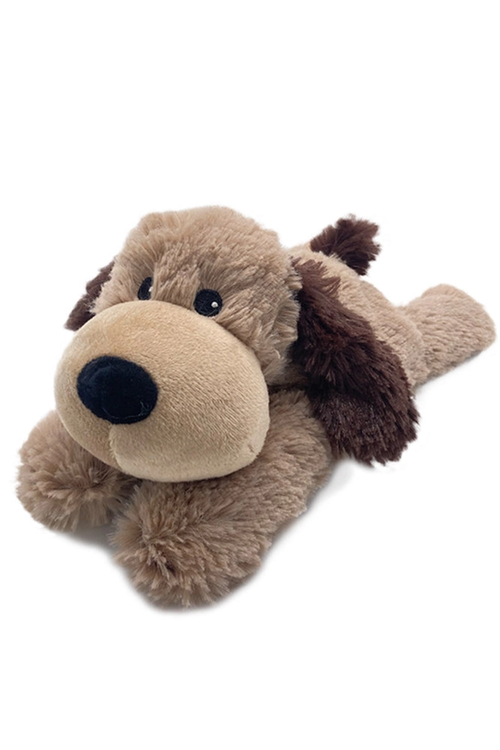 Brown Dog Warmie Junior