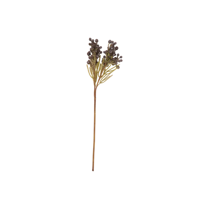 Brunia Berry Stem