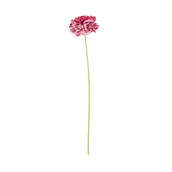 Carnation Stem