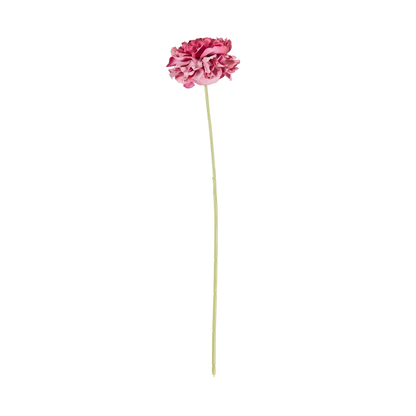 Carnation Stem