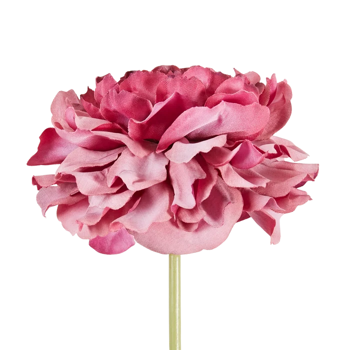 Carnation Stem