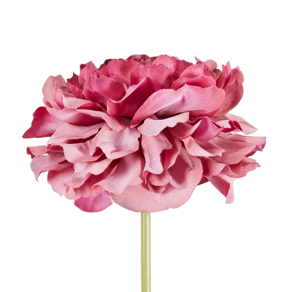 Carnation Stem