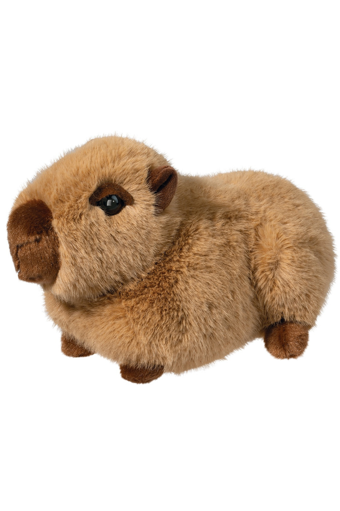 Chattie Capybara