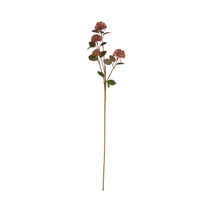 Eucalyptus Berry Stem