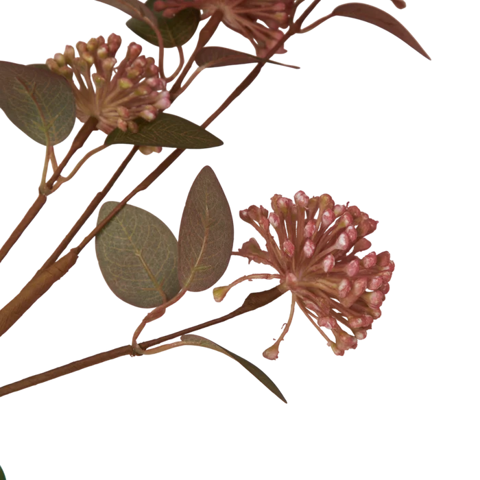Eucalyptus Berry Stem