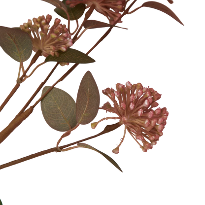 Eucalyptus Berry Stem