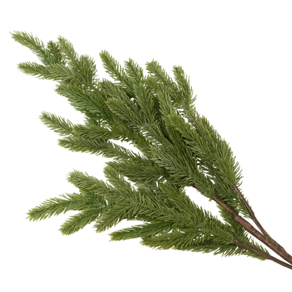 Foxtail Pine