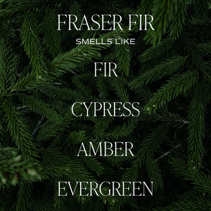 Fraser Fir 9 oz Soy Candle - Christmas Decor & Gifts