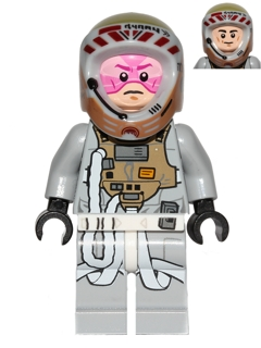 Gray Squadron Pilot (Horton Salm)