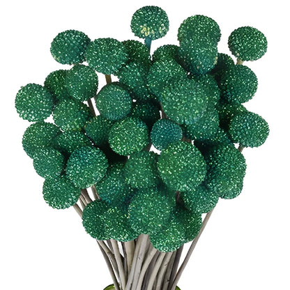Green Glitter Tinted Craspedia Billy Balls