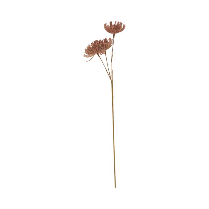 Leucospermum Stem