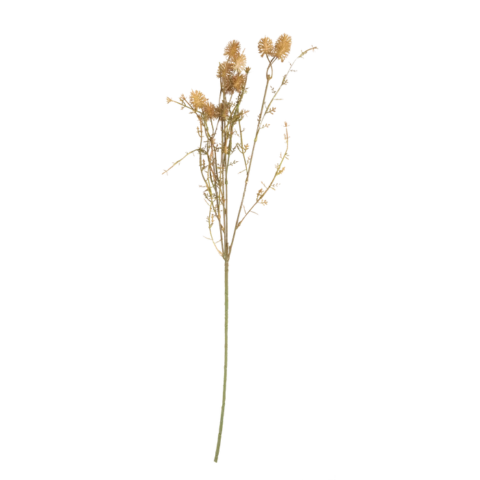 Meadow Pom Pom Stem