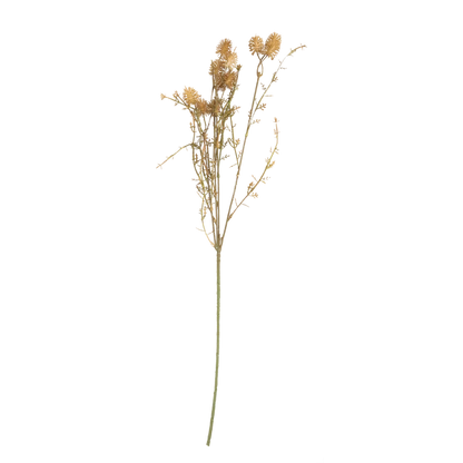 Meadow Pom Pom Stem