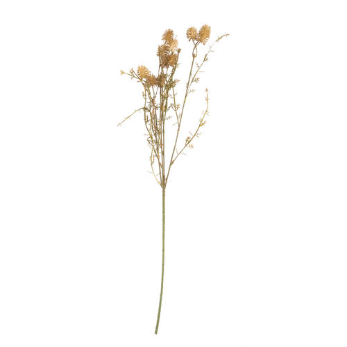 Meadow Pom Pom Stem