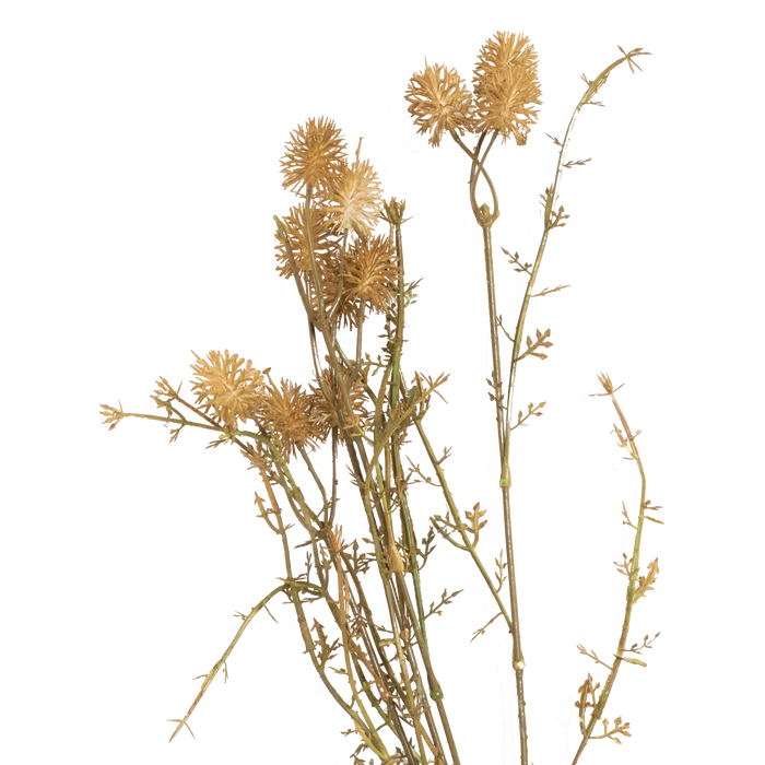 Meadow Pom Pom Stem