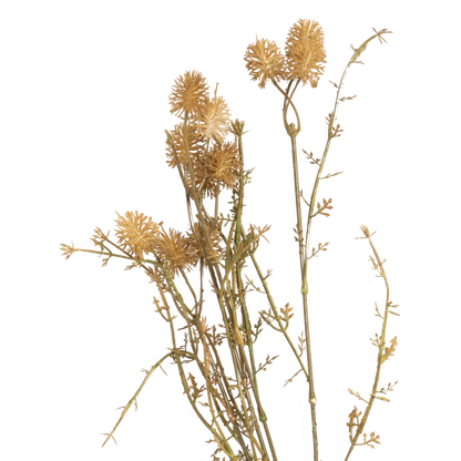 Meadow Pom Pom Stem