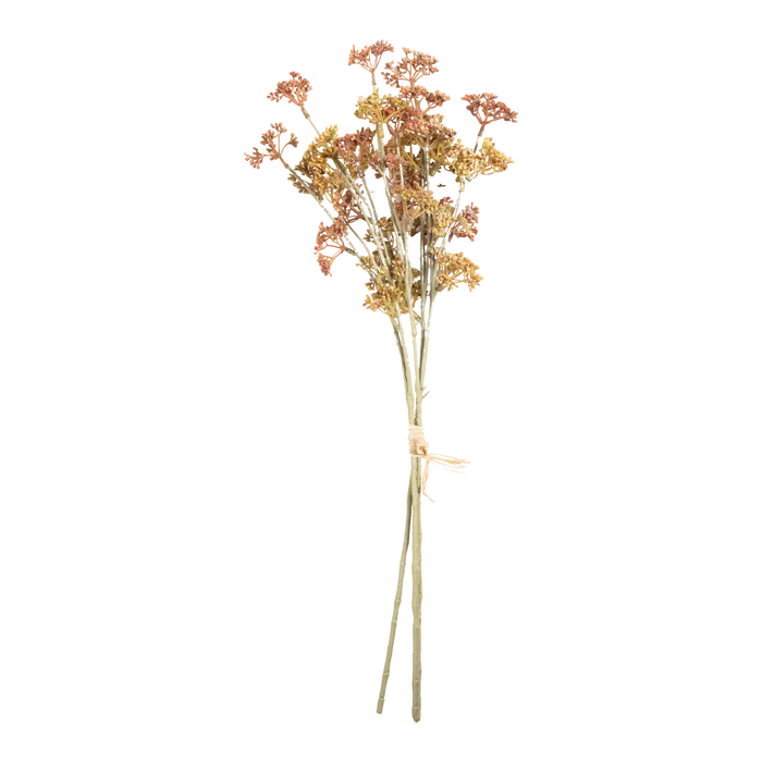 Meadow Sedge Stem
