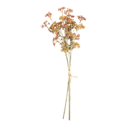Meadow Sedge Stem