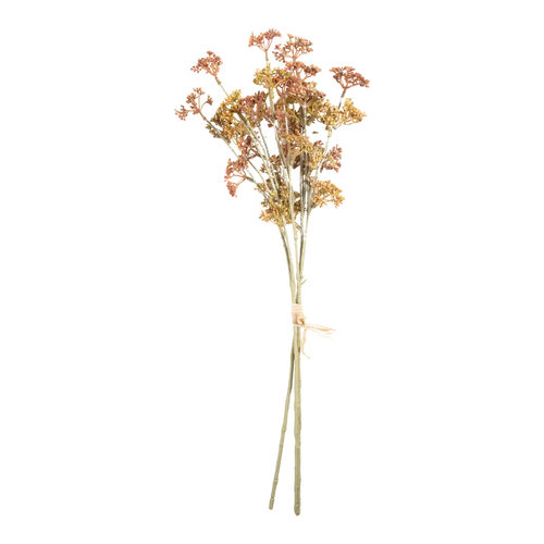 Meadow Sedge Stem