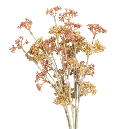 Meadow Sedge Stem