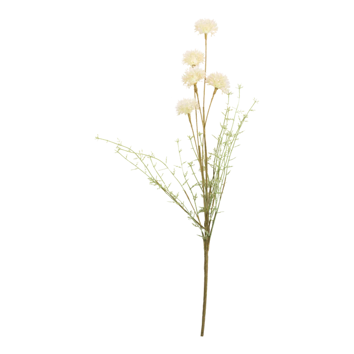 Melaleuca Stem
