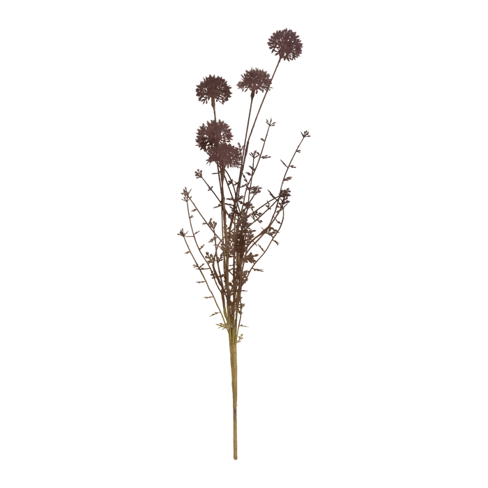 Melaleuca Stem
