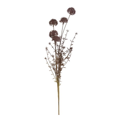 Melaleuca Stem
