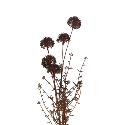 Melaleuca Stem