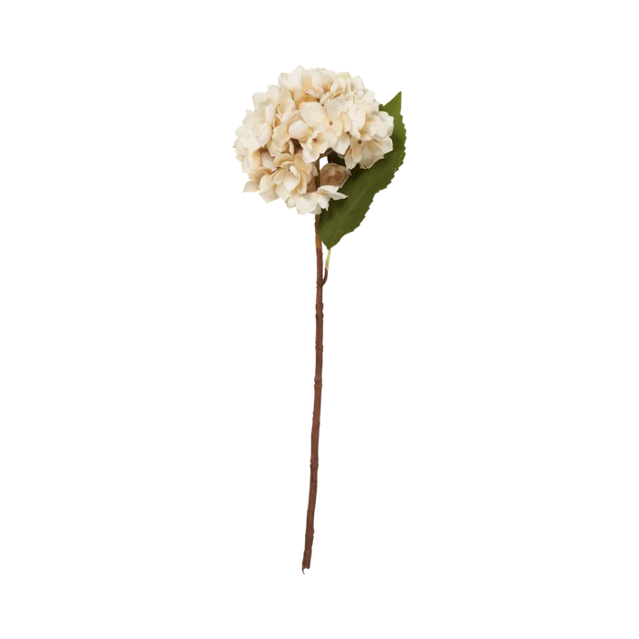 Morning Mist Hydrangea Stem