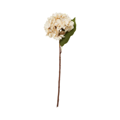 Morning Mist Hydrangea Stem