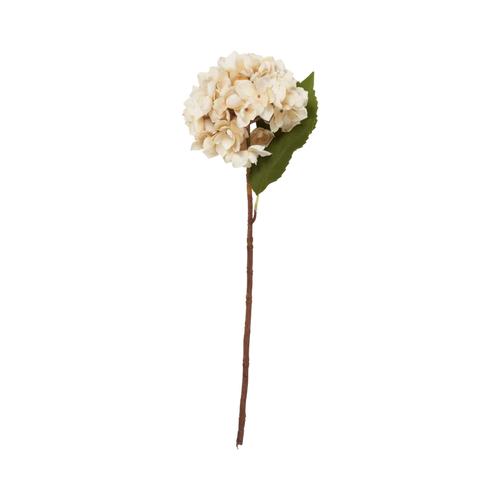Morning Mist Hydrangea Stem