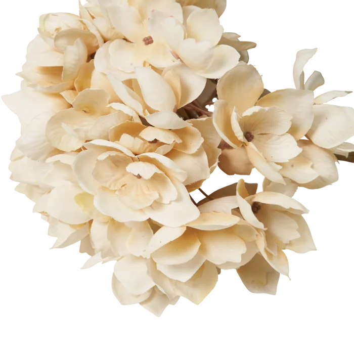 Morning Mist Hydrangea Stem