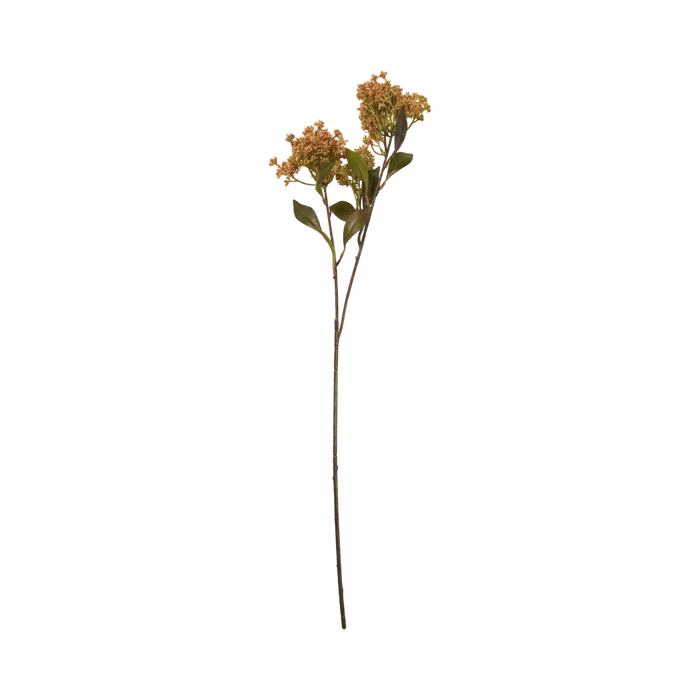 Natural Butterfly Bush